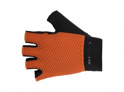 GANT 3